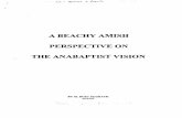 A BEACHY AMISH PERSPECTIVE ON THE ANABAPTIST VISIONbeachyam.org/Librarybooks/McGrath(1994)_Beachy.pdfAmish perspective on the Anabaptist Vision might look like but also, and perhaps