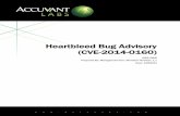 Heartbleed Bug Advisory (CVE-2014-0160) Heartbleed Bug Advisory (CVE-2014-0160) 3 Revision: 1.1 Technical