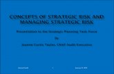 Internal Audit 1 January 13, 2012 · management process. ... Internal Audit 7 January 13, 2012 . Strategic Risk As an organization attempts to achieve their strategic objectives,