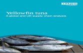 Yellowfin tuna - Seafish · 2018-12-03 · Global Supply of Tuna Report 2009 SEAFISH 5 Contents Page Executive Summary 1. Introduction 4 2. Global overview 8 3. International trade