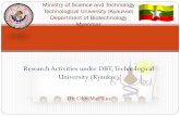 Mandalay Technological University Department of Biotechnologyanmicro.org/document/meeting/1/Myanmar_TU_(Kyaukse).pdf · Production of Single Cell Protein ... Pythium sp. Rhizotoctonia