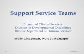 Support Service Teams (SSTs)...The Support Service Teams \⠀匀匀吀猀尩 provide an interdisciplinary technical assistance and training response to persons with a de\൶elopmental