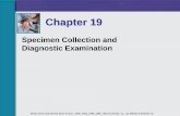 Specimen Collection and Diagnostic Examination · 2011-10-21 · Specimen Collection and Diagnostic Examination Chapter 19 Mosby items and derived items © 2011, 2006, 2003, 1999,