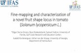 FINE-MAPPING AND CHARACTEIZATION OF A NOVEL FRUIT …tgc.ifas.ufl.edu/TBRT 2018/Quality/Fine-mapping and...•Tomato Breeding lab team at the GCREC •Lab staff: Tim, Nate, Judith,