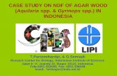 Aquilaria spp. & Gyrinops spp.) IN INDONESIA...Estimate of the total population of adult trees (> 10 cm dbh) of Aquilaria spp.in Sumatra and Kalimatan based on density estimation from