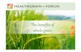 The benefits of whole grain. Health effects of whole grain food • The situation in Europe: overweight, obesity, diabetes, cardiovascular disease, and colorectal cancer • Health