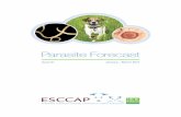 Parasite Forecast - ESCCAP UK...This issue presents the spring parasite forecast and takes a look at a case report of leishmaniosis in a Boxer dog from Italy. ESCCAP UK & Ireland welcome