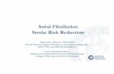 Atrial Fibrillation Stroke Risk Reduction/media/Non-Clinical/Files-PDFs-Excel...Objectives • Effectively estimate stroke and bleeding risk in patients with atrial fibrillation (AF)