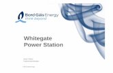 Whit tWhitegate Power StationPower Station Whitegate - Engine… · What is WhitegateWhat is Whitegate • 445 MW Power Plant445 MW Power Plant - Combined Cycle Gas turbineCombined