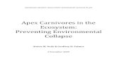 Apex Carnivores in the Ecosystem: Preventing Environmental Collapse · Apex Carnivores in the Ecosystem: Preventing Environmental Collapse 2009 ... Paragraph - Apex predators play