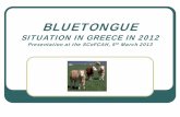 BLUE TONGUE SITUATION IN LESVOS - European Commission · 2016-10-17 · IN CHIOS ISLAND KEY FACTS ON CHIOS • Closest BT infected areas are Lesvos and Samos, affected with BTV 8,1,16