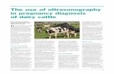 The use of ultrasonography in pregnancy diagnosis of dairy cattle · persistent corpus luteum associated with endometritis, cystic ovarian dis-ease, short return to oestrus interval