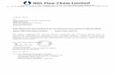 0 NGL Fine-Chem Limited · 2019-07-27 · Decisive Strategies. Disciplined Business Model. Strongly poised to capture the industry potential. THAT’S WHAT DEFINES NGL FINE-CHEM LIMITED