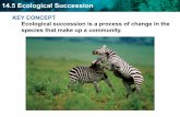 KEY CONCEPT Ecological succession is a process …images.pcmac.org/SiSFiles/Schools/MS/DeSotoCounty/DeSoto...KEY CONCEPT Ecological succession is a process of change in the species