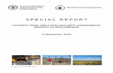 FAO/WFP CFSAM - Syrian Arab RepublicThis report has been prepared by Cédric Bernet, Jonathan Pound and Matthew Walsh (FAO), and Maria Dolores Castro Benitez and Aaron Wise (WFP) under