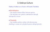 3. Embryo Culture - portal.abuad.edu.ng€¦ · Ovule Culture for Haploid Production @ Essentially the same as embryo culture — Difference is an unfertilized ovule instead of a