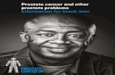 Prostate cancer and other prostate problems Information ...€¦ · difficulty getting or keeping an erection (erectile dysfunction), pain or burning during and after ejaculation,