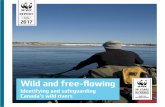 Wild and free-flowing - WWF-Canadaassets.wwf.ca/downloads/Wild_Rivers_Technical_Report_updated_N… · WILD AND FREE-FLOWING RIVERS Historically, Canada has been a land of wild, large