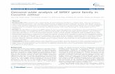 RESEARCH ARTICLE Open Access Genome-wide analysis of … · RESEARCH ARTICLE Open Access Genome-wide analysis of WRKY gene family in Cucumis sativus Jian Ling, Weijie Jiang*, Ying