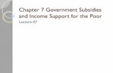 Lecture 07 - Weber State Universityfaculty.weber.edu/brandonkoford/ECON4520/Lecture07.pdf · Lecture 07 . Review What is the ... In class exercise Subsidy VS cash transfer You try