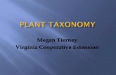 Megan Tierney Virginia Cooperative Extension · Examples of early plant classifications 2000 BC - Indian (Ayurvedic) texts described medicinal plants 1000-1700 AD - “Age of Herbals”