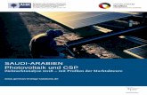 SAUDI-ARABIEN Photovoltaik und CSP€¦ · SAUDI-ARABIEN Photovoltaik und CSP Zielmarktanalyse 2018 – mit Profilen der Marktakteure