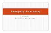 Retinopathy of Prematurity€¦ · Stage 1/2 mild Stages 3 -5 severe Stages 4b and 5 damage sight 9. ROP stages Stage 1 Stage 4 AP-ROP Stage 2 Stage 3 10. Natural history of ROP 8