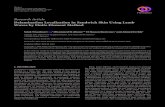 Delamination Localization in Sandwich Skin Using Lamb ...downloads.hindawi.com/archive/2018/9705407.pdf · ResearchArticle Delamination Localization in Sandwich Skin Using Lamb Waves
