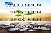 SPECIMEN - The Standard · (2) Index Interest Account(s): 90.70% of the Contract premium. v = Amounts surrendered (not including surrender charges, Market Value Adjustments, premium