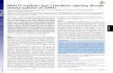 HDAC11 regulates type I interferon signaling through ... · HDAC11 regulates type I interferon signaling through defatty-acylation of SHMT2 Ji Caoa,b, Lei Sunc, Pornpun Aramsangtienchaia,1,