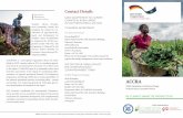 ACCRA - Deutsche Gesellschaft für Internationale ... · ACCRA_FLYER_white_RZ.indd 1 02.11.16 09:52 ACCRA SADC Adaptation to Climate Change in Rural Areas in Southern Africa Southern