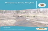 Hazard Mitigation Plan€¦ · hazards. The HIRA builds on available historical data from previous occurrences, establishes hazard-by-hazard profiles, and culminates in a hazard risk