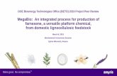 MegaBio: An integrated process for production of farnesene ... proce… · (engineering study, TEA, LCA) Objective Deliver an integrated, scalable manufacturing process for production