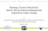 Energy Smart Industrial: Wells Rural Electric/Newmont ...€¦ · Energy Smart Industrial: Wells Rural Electric/Newmont Industrial Case Study by Tommi Reynolds, Industrial Efficiency