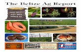 Belize’s most complete independent agricultural publicationufdcimages.uflib.ufl.edu/UF/00/09/40/64/00024/11-2013.pdf · Belize’s most complete independent agricultural publication
