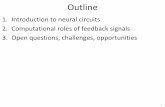 1. Introduction to neural circuits 2. Computational roles ... · Outline 1. Introduction to neural circuits 2. Computational roles of feedback signals 3. Open questions, challenges,