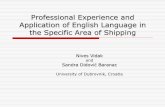 Professional Experience and Application of English ...fl.uni-mb.si/wp-content/uploads/2012/10/VIDAK-AND-DIDOVIC-BARA… · Professional Experience and Application of English Language