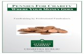 PENNIES FOR CHARITY - CharitiesNYS.com · Prior Pennies for Charity reports and data have focused solely on telemarketing campaigns. This year’s report covers a broad range of solicitation