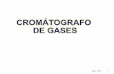 SCHEMATIC OF GAS CHROMATOGRAPH - UNAMdepa.fquim.unam.mx/amyd/archivero/CG4_26127.pdf · Compatible con el detector . GC 2 4/97 5 Detector Gas Portador Conductividad Helio Térmica(TC)