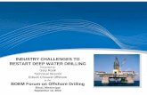 INDUSTRY CHALLENGES TO RESTART DEEP WATER DRILLING · INDUSTRY CHALLENGES TO RESTART DEEP WATER DRILLING Presented by: Gary Rook Technical Director Edison Chouest Offshore to the