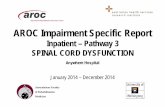 Spinal Impairment Specific Reportweb/... · 2015-11-01 · AROC Impairment Specific Report on Spinal Impairments (Inpatient - pathway 3) — Anywhere Hospital — Jan-Dec 2014 5 Spinal