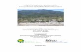 Alluvial Scrub Vegetation of Southern California, A Focus on the … · 2018-03-30 · Alluvial Scrub Vegetation of Southern California, A Focus on the Santa Ana River Watershed In
