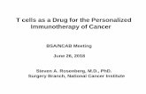 T cells as a Drug for the Personalized Immunotherapy of Cancer · T cells as a Drug for the Personalized Immunotherapy of Cancer BSA/NCAB Meeting June 26, 2018 Steven A. Rosenberg,