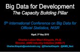 Big Data for Development · Big Data for Development . The Capacity Building Pillar. 5. th. International Conference on Big Data for Official Statistics, NISR. Kigali, 3. rd. May
