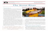 Division of Sport Fish The Kenai River...Kenai River king salmon The Kenai River hosts the busiest freshwater king (Chi-nook) salmon ﬁ shery in Alaska. In the 1990s, 50,000 to 115,000