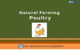 Natural Farming by Poultry · Natural Farming Poultry. Cho Global Natural Farming(CGNF) Principles of Natural Farming livestock barn. CGNF. 2. Welfare. Respect. Harmony. Harmony of