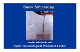 Snow forecasting - Weather Prediction CenterLower cold layer • If temperature is less than -10oC, and freezing nuclei are sufficiently abundant and enough time is spent in the cold