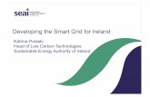 Developing the Smart Grid for IrelandDeveloping the Smart Grid for Ireland ... Electricity in Ireland Today Baseline – 2010 Electricity 17% of total final consumption Current consumption