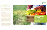 in food production - Fertilizers Europe · 2019-12-18 · in food production Key nutrient for optimal growth Balancing crop nutrition for healthy crops and fertile soils A good crop