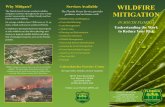 Why Mitigate? Services Available WILDFIRE to Reduce Your Risk · at risk, wildfires can also alter hydrology and destroy or degrade wildlife habitat, including that of endangered